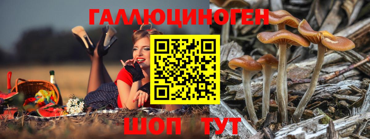 Галлюциногенные грибы MAGIC MUSHROOMS Кудрово